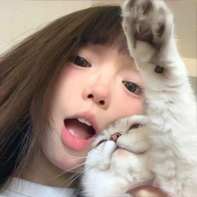猪猪侠
